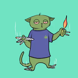 Blazed Cat #7337
