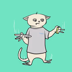 Blazed Cat #1848