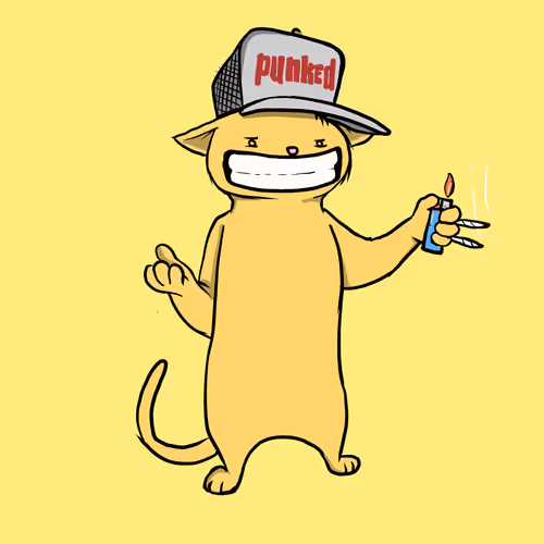 Blazed Cat #9301