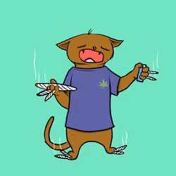 Blazed Cat #6304