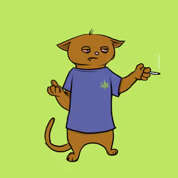 Blazed Cat #3988
