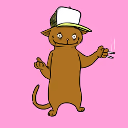 Blazed Cat #18