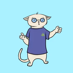 Blazed Cat #3289