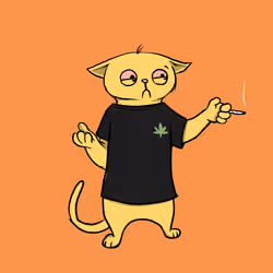 Blazed Cat #4639