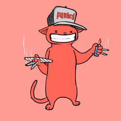 Blazed Cat #4921