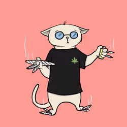 Blazed Cat #4585
