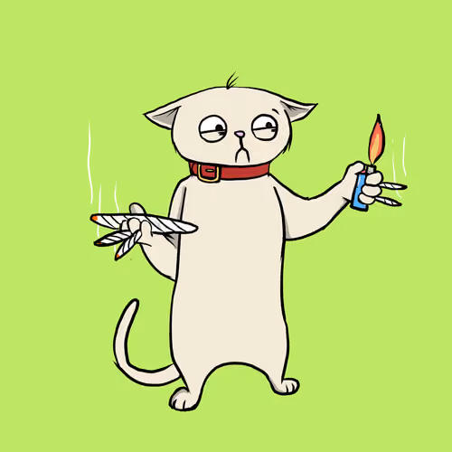 Blazed Cat #2580