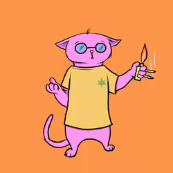 Blazed Cat #7547