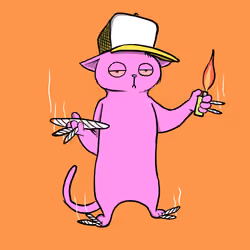Blazed Cat #9569