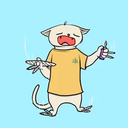 Blazed Cat #304