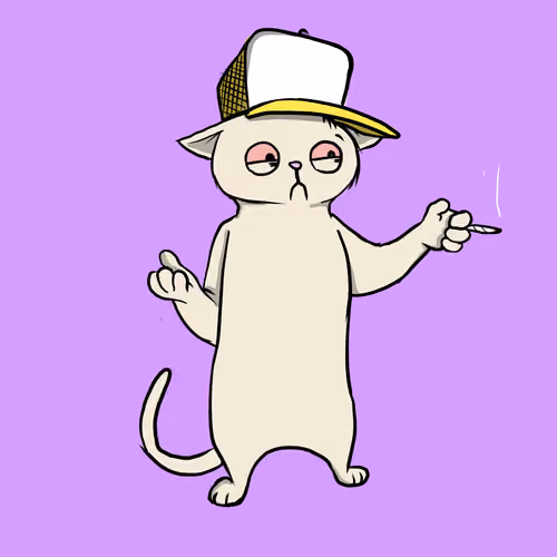 Blazed Cat #557