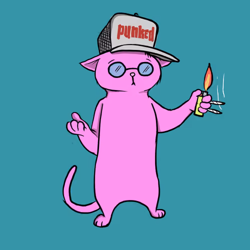 Blazed Cat #4779