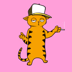 Blazed Cat #6931