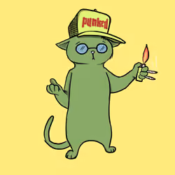 Blazed Cat #9768
