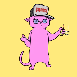 Blazed Cat #1876