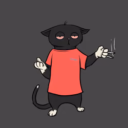 Blazed Cat #818