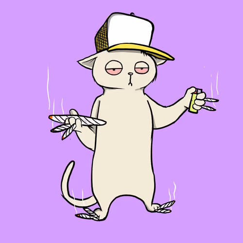 Blazed Cat #3333