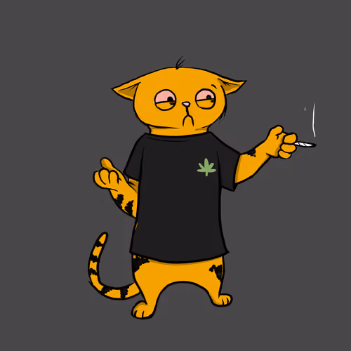 Blazed Cat #1216