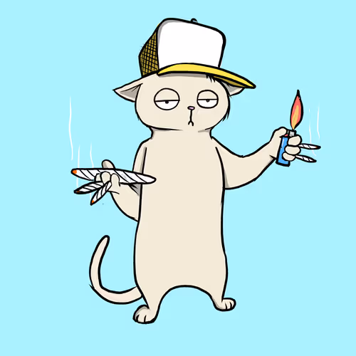 Blazedcats