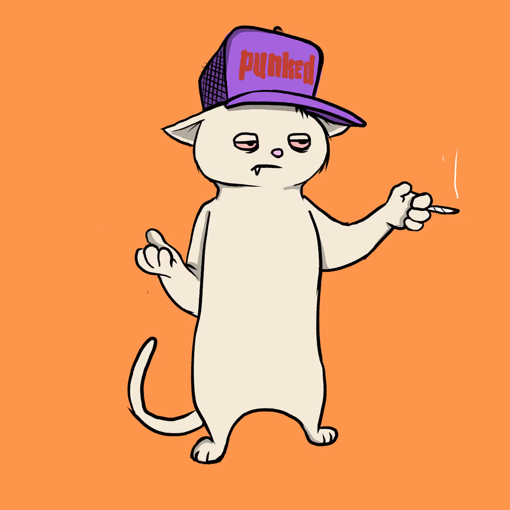 Blazed Cat #24