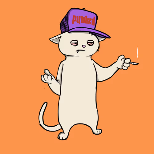 Blazed Cat #24