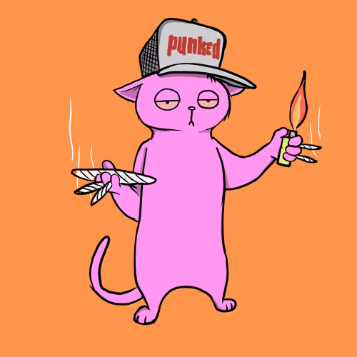Blazed Cat #737