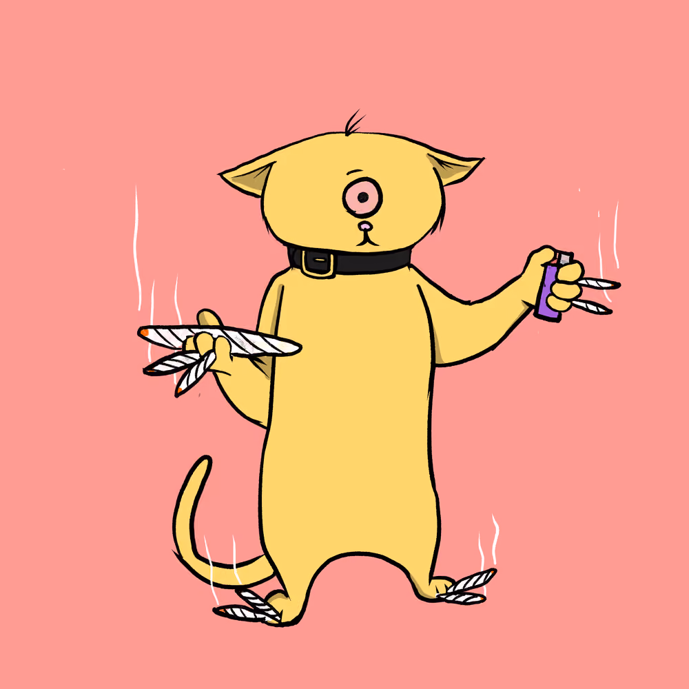 Blazed Cat #91
