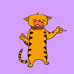 Blazed Cat #3336