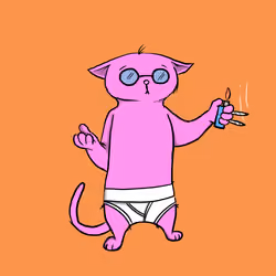 Blazed Cat #476