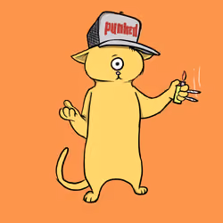 Blazed Cat #2899