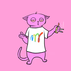 Blazed Cat #7747