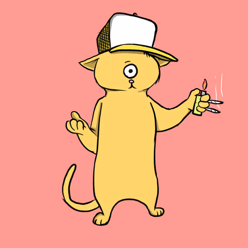 Blazed Cat #6206