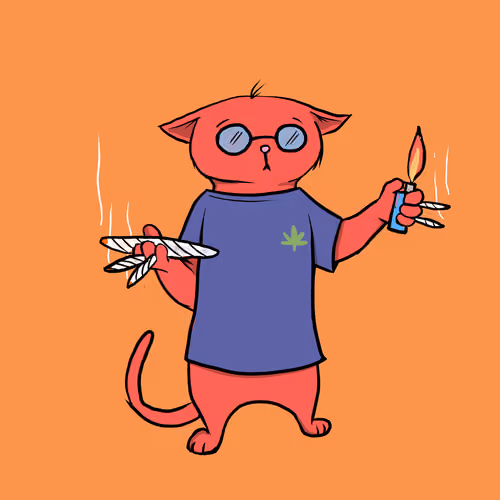 Blazed Cat #7958