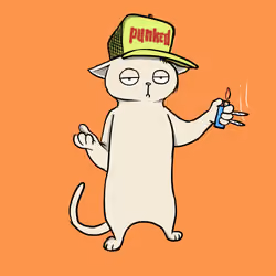 Blazed Cat #1264
