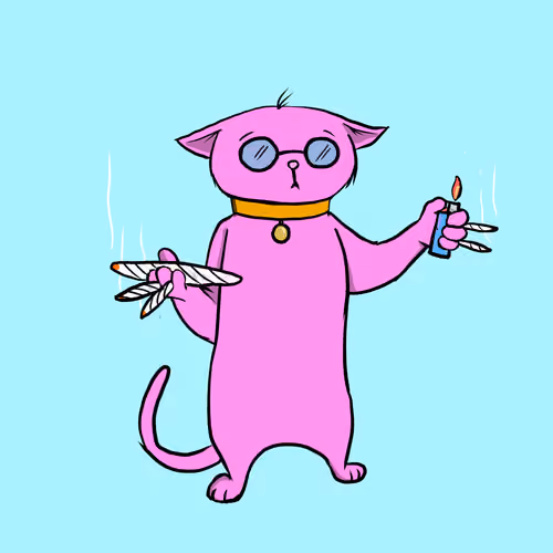 Blazed Cat #5501