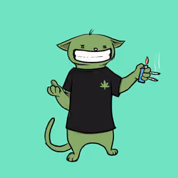 Blazed Cat #3316