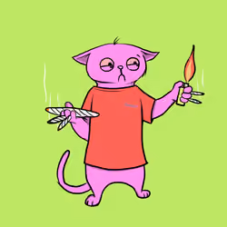 Blazed Cat #6405