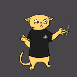 Blazed Cat #6047