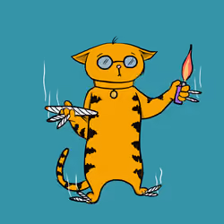 Blazed Cat #1742