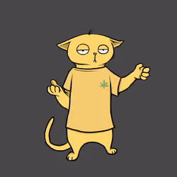 Blazed Cat #9437