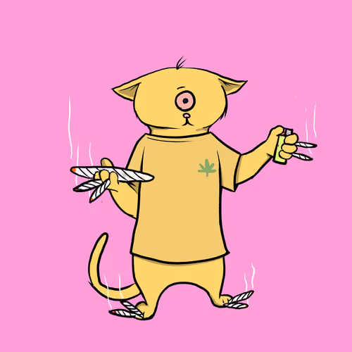 Blazed Cat #6904