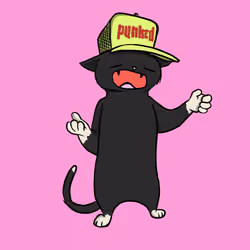 Blazed Cat #9546