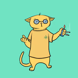 Blazed Cat #5321