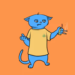 Blazed Cat #6333
