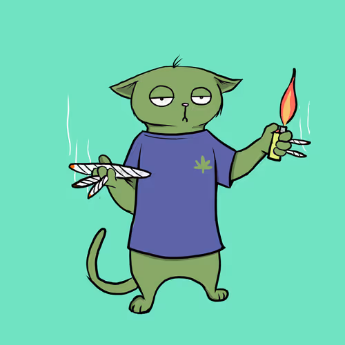 Blazed Cat #37