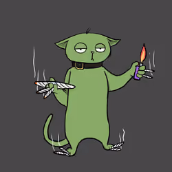 Blazed Cat #1168