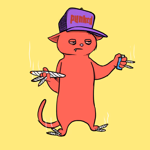 Blazed Cat #4751