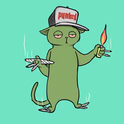 Blazed Cat #9100