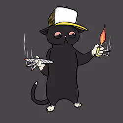 6532
