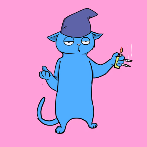 Blazed Cat #2773
